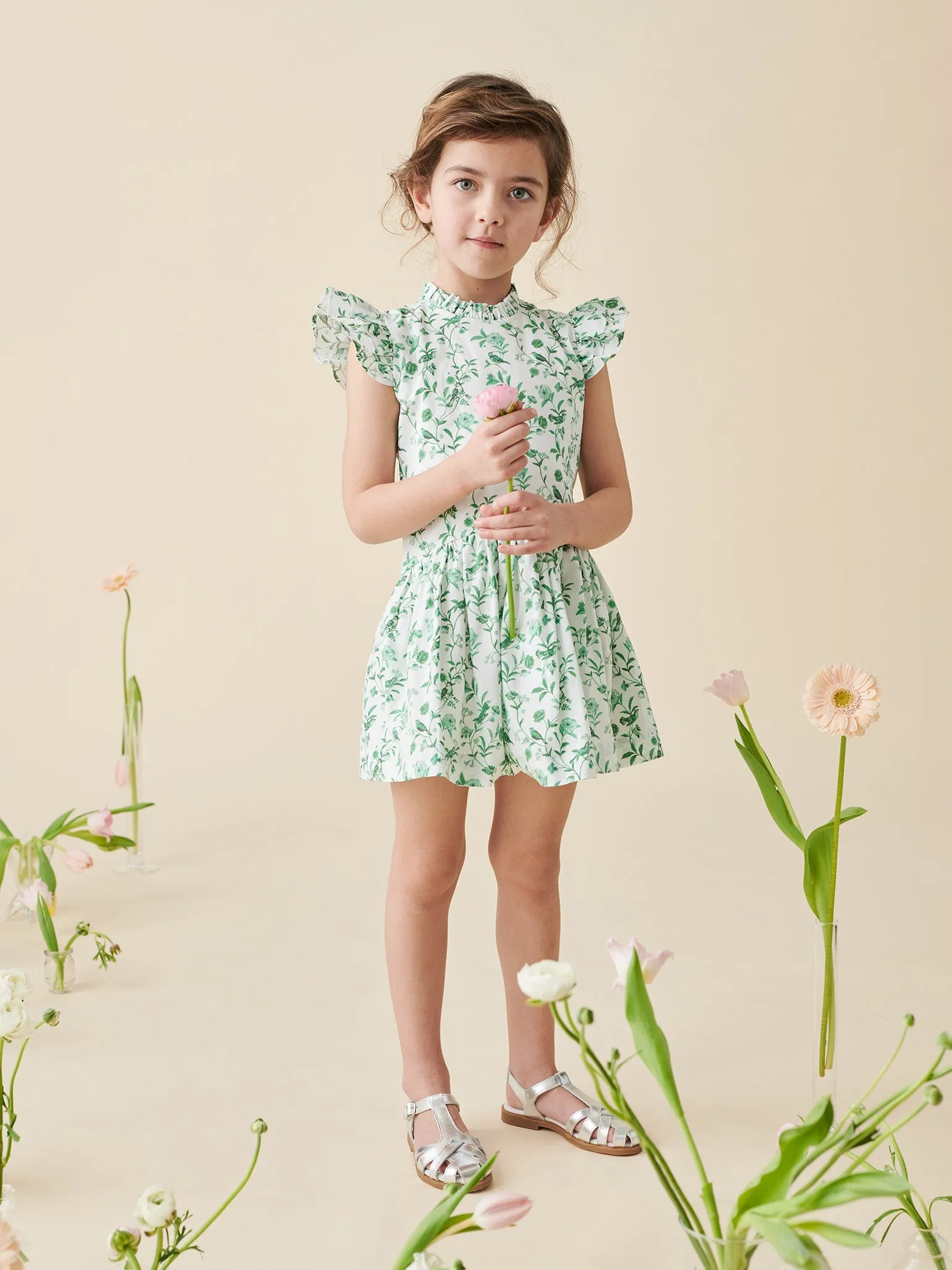 Hill House Home X La Coqueta Green Bird Floral Rita Girl Drop Waist Dress